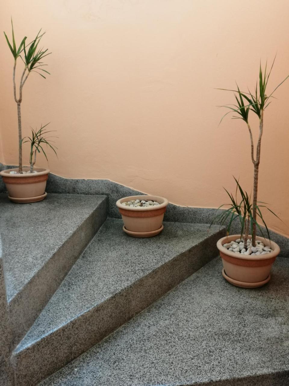 Apartment Singa Zadar Dış mekan fotoğraf